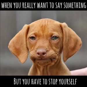 Meet your Posher, Jean